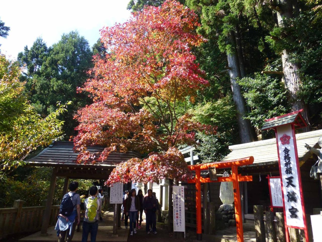 Togakubo 호텔 이세하라 외부 사진